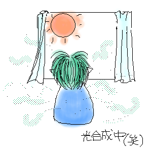 IMG_000007.png 300300 27K